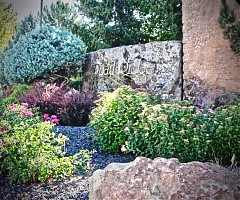 Landscape,irrigation